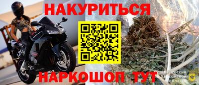 прущие грибы Пыть-Ях