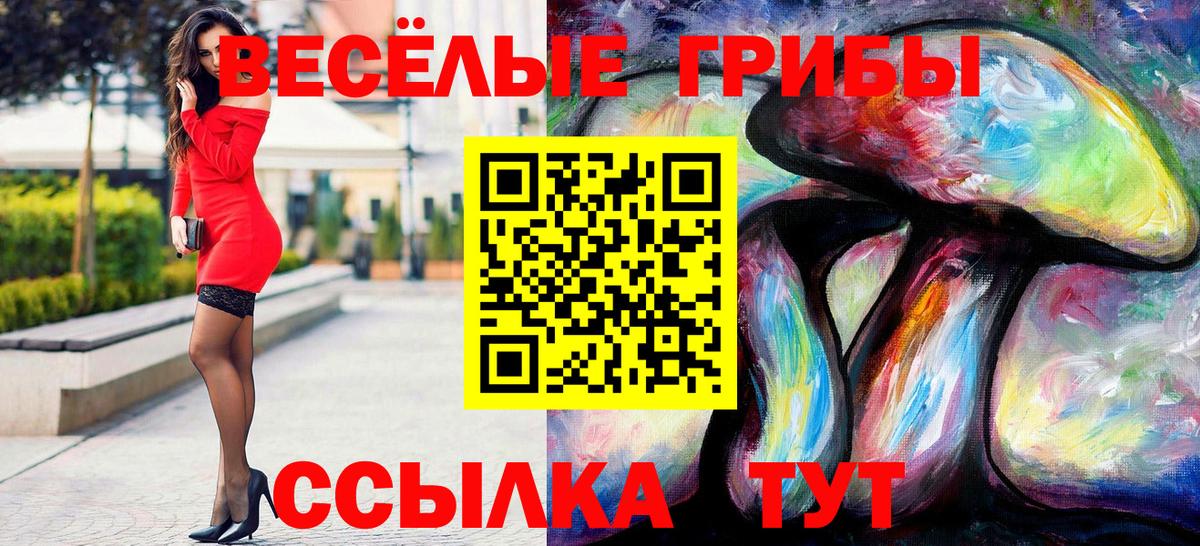 Галлюциногенные грибы мухоморы Псков
