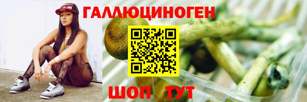 Псилоцибиновые грибы мицелий  Псилоцибиновые грибы Psilocybe  Вход с VPN  Псков 